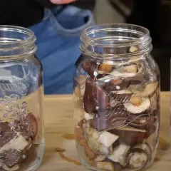 Zachowaj smak letnich grzybów dzięki sprytnej metodzie mrożenia!