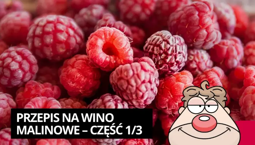 Jak zrobić wino z malin - prosty przepis na pyszne wino domowe