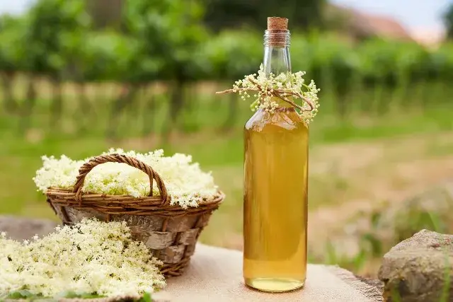 Babciny przepis na nalewkę z dzikiego bzu to naturalny eliksir!