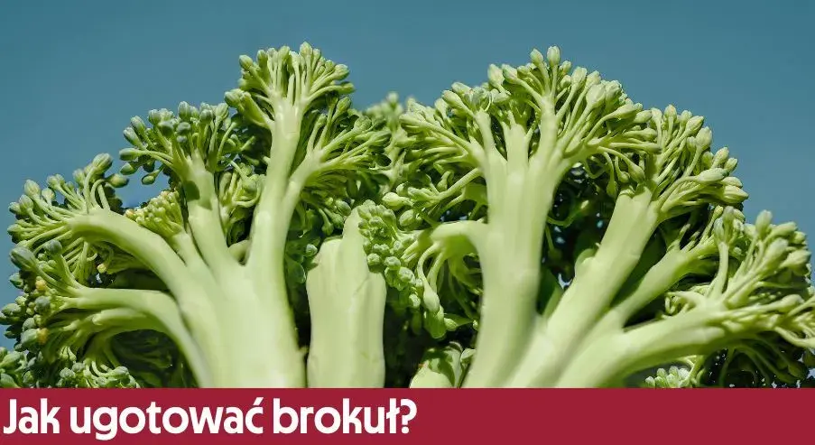 Jak gotować brokuł na sałatkę, aby był chrupiący i smaczny