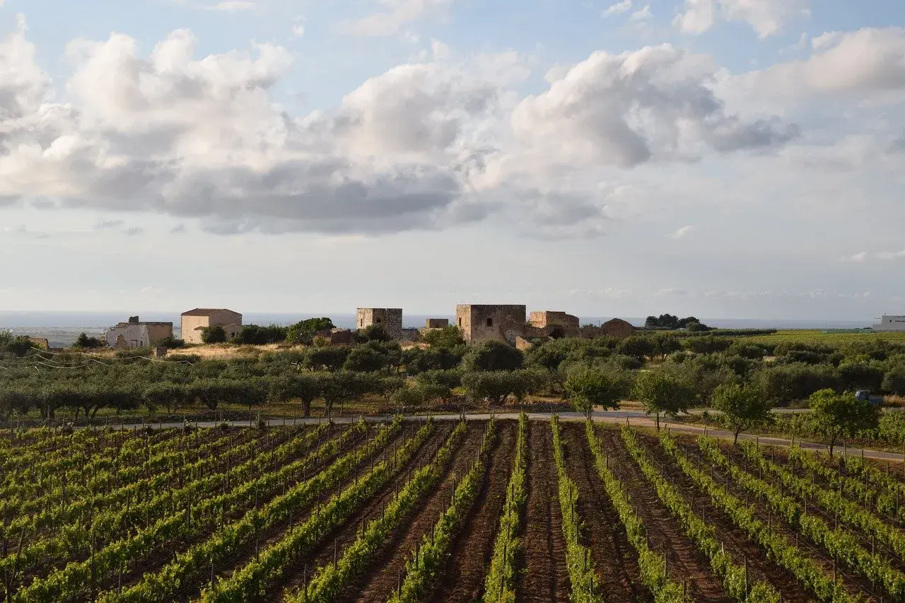 Gdzie kupić wino Marsala? Sprawdź najlepsze opcje i ceny